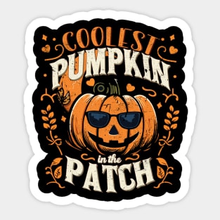 Coolest Pumpkin in The Patch Funny Halloween Sticker